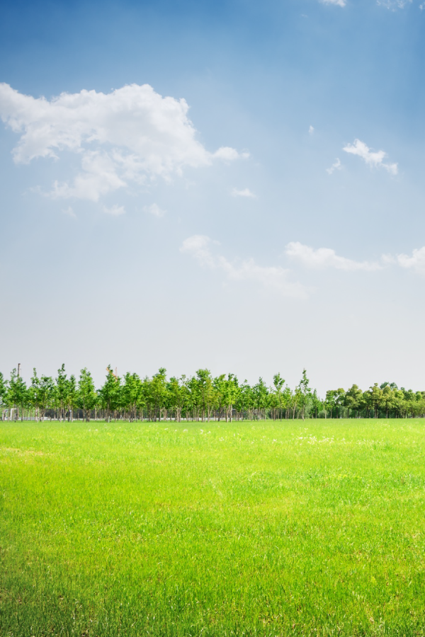 Open landscaped gardens at The Kharis with mature trees